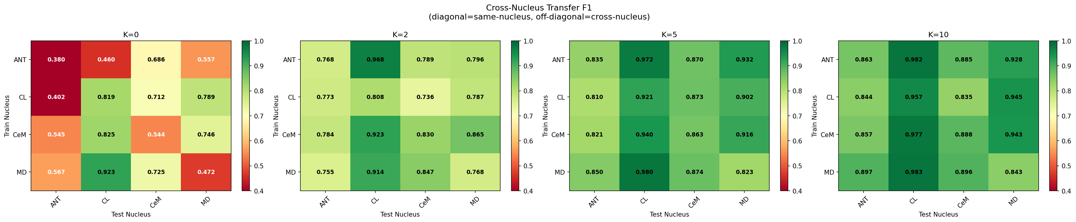 Cross-nucleus heatmap