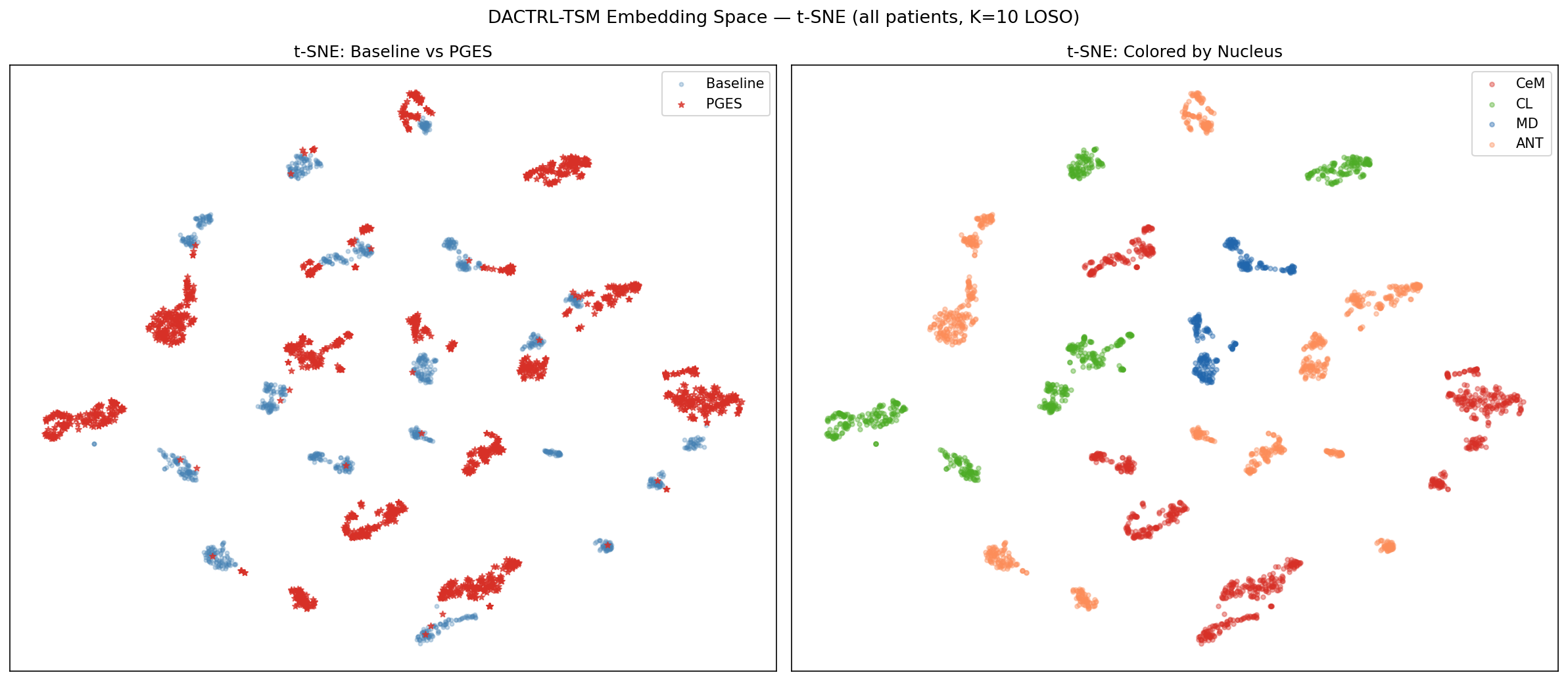 Embedding t-SNE